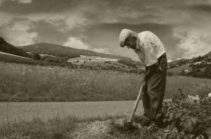 The Old Gardener by Thomas Kiefer (c) 2011